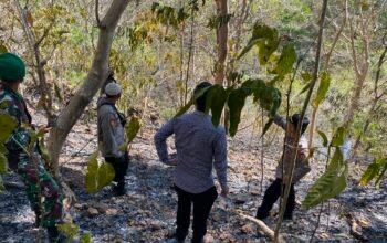 Kapolsek Mandalle Bersama TNI dan Warga Padamkan Kebakaran Hutan di Pegunungan Coppo Tompong