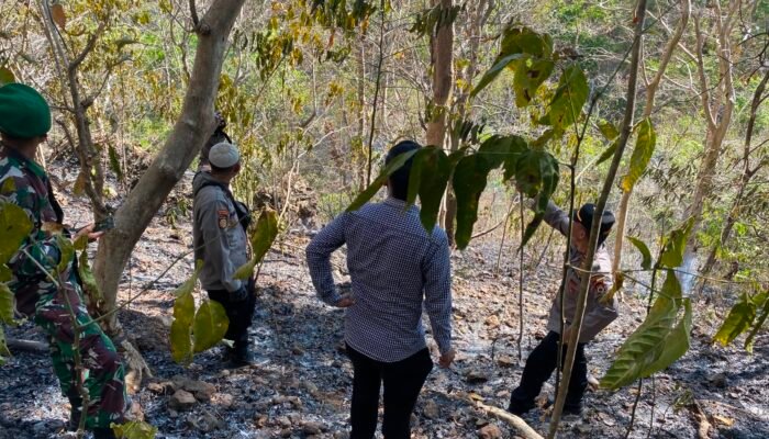 Kapolsek Mandalle Bersama TNI dan Warga Padamkan Kebakaran Hutan di Pegunungan Coppo Tompong