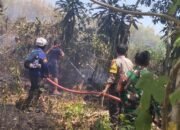 Personel Polsek Labakkang Bersama Damkar Padamkan Kebakaran Lahan di Desa Pattallassang