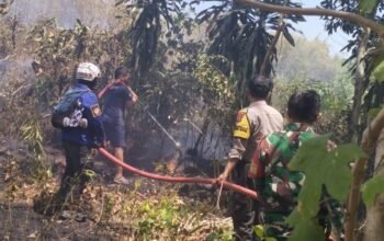 Personel Polsek Labakkang Bersama Damkar Padamkan Kebakaran Lahan di Desa Pattallassang