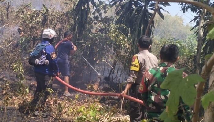 Personel Polsek Labakkang Bersama Damkar Padamkan Kebakaran Lahan di Desa Pattallassang