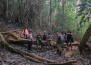 Personel Polsek Bungoro Datangi TKP Karhutla di Kawasan Hutan Lindung Gunung Masumpang