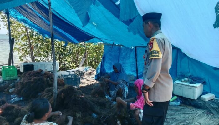 Bhabinkamtibmas Polsek Liukang Tangaya Sambangi Warga Pekerja Rumput Laut, Sampaikan Pesan Kamtibmas