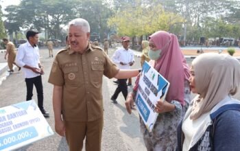 Serahkan Bantuan PPSE Ini Harapan Bupati Irwan